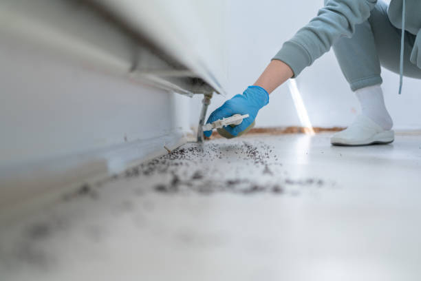 Best Exterminator Services  in Laurel, MD